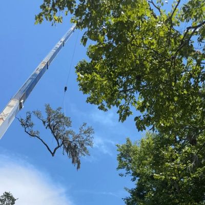 Avatar for OI Solutions