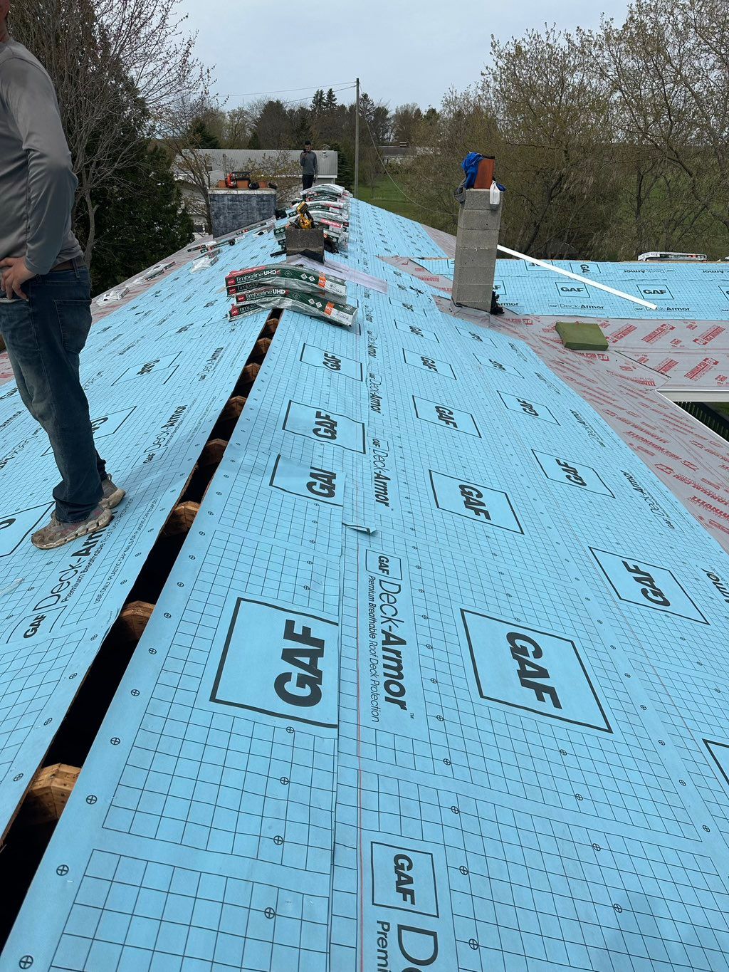 Projects and media