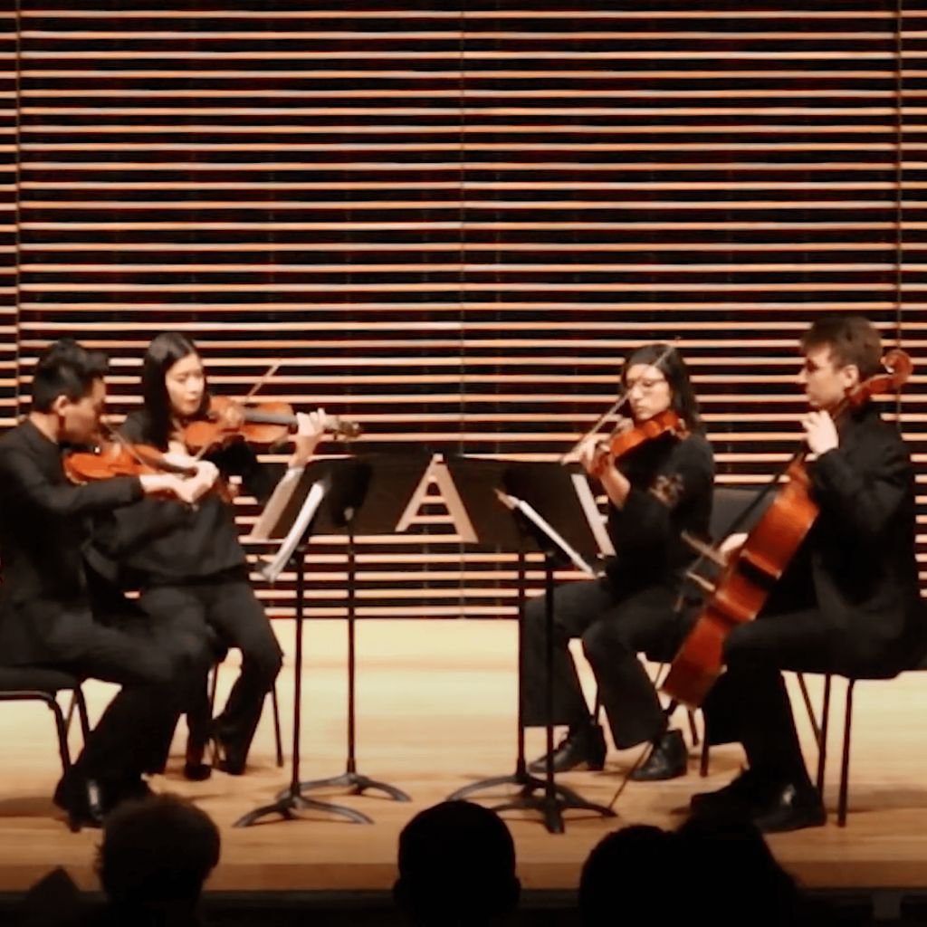 Sylphide Strings