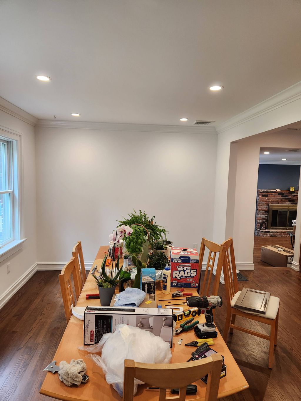 Projects and media