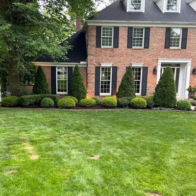 Avatar for Rockys Landscaping