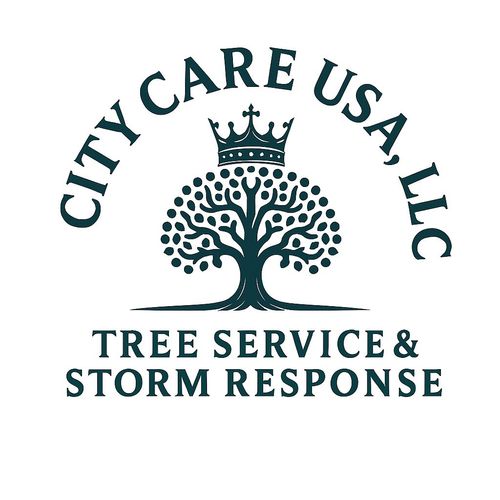 City Care USA, LLC Profile Picture