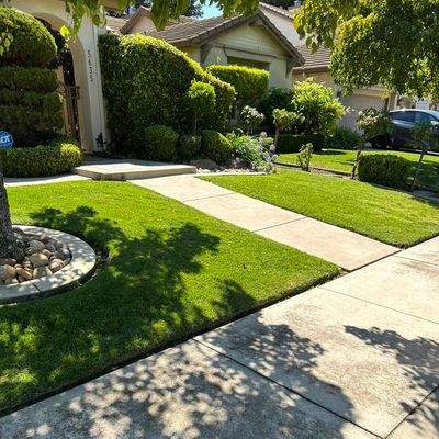 Avatar for Jorge landscaping