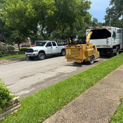 Avatar for Aguilera tree service and more