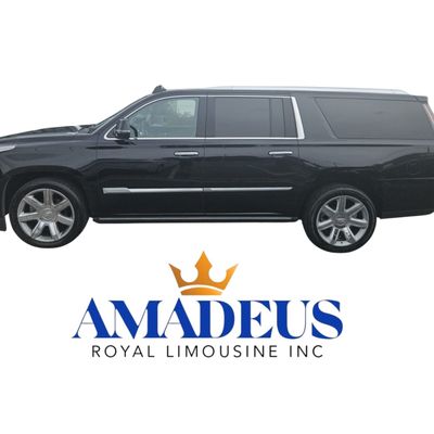 Avatar for Amadeus Royal Limousine Inc