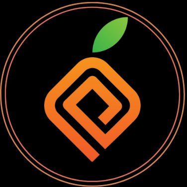 PAPAYA CONSTRUCTION GROUP