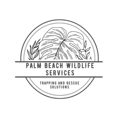 Avatar for Palm Beach Wildlife Services