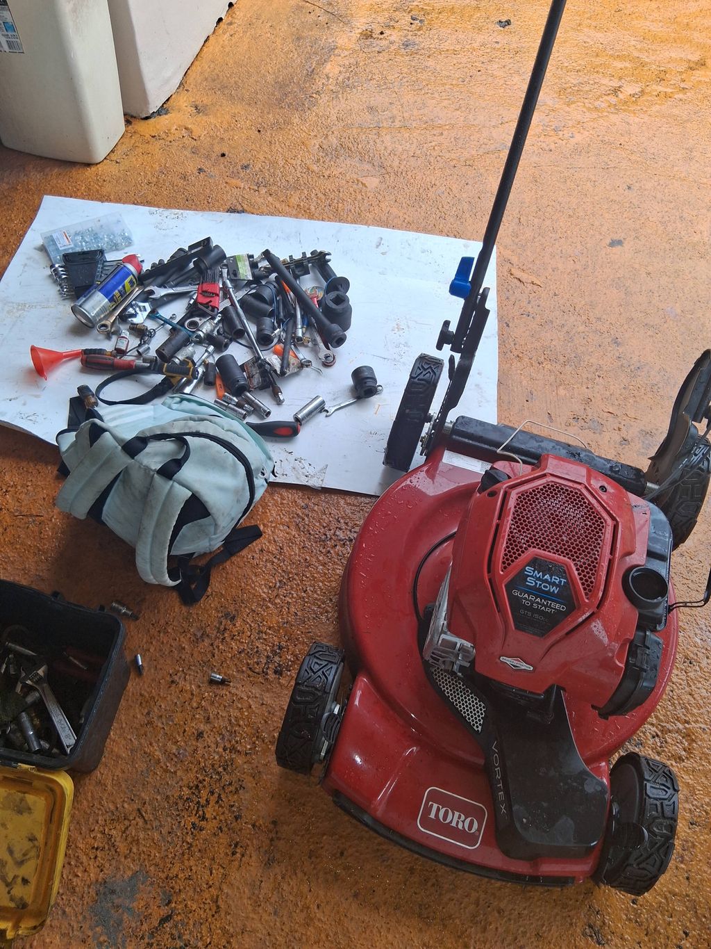 Projects and media