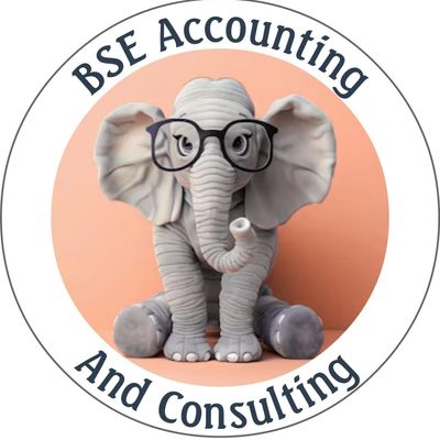 Avatar for BSE Accounting & Consulting, PLLC