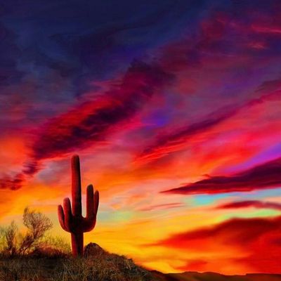 Avatar for Desert Valley Landscaping
