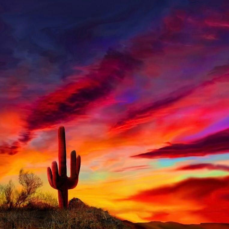 Desert Valley Landscaping