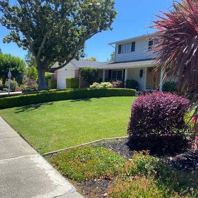 Avatar for Iniguez Landscaping