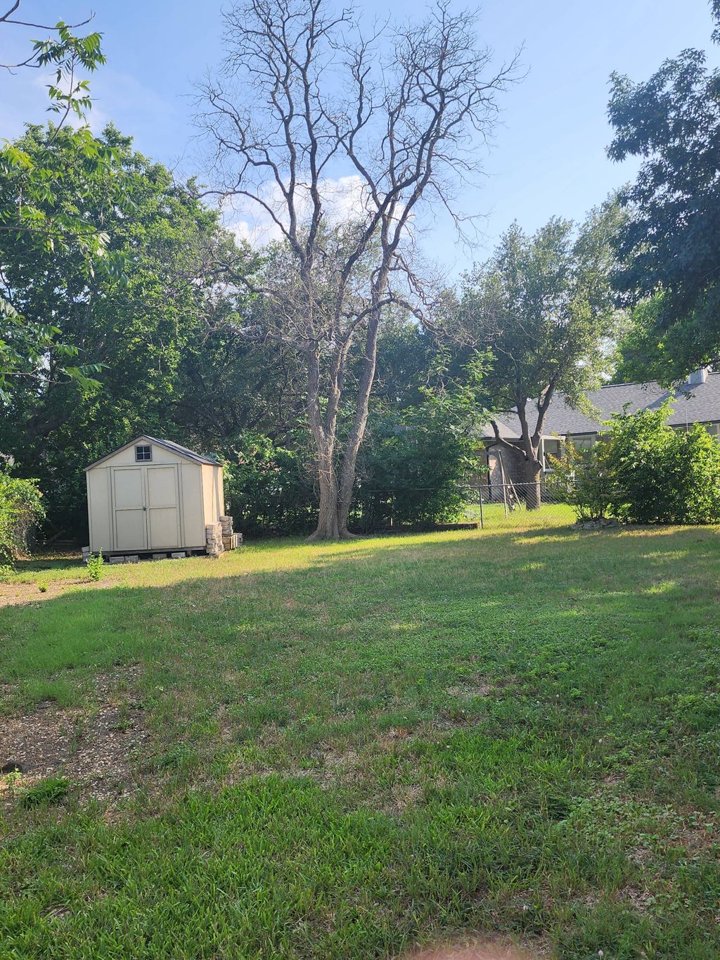 customers wanted dead tree removed