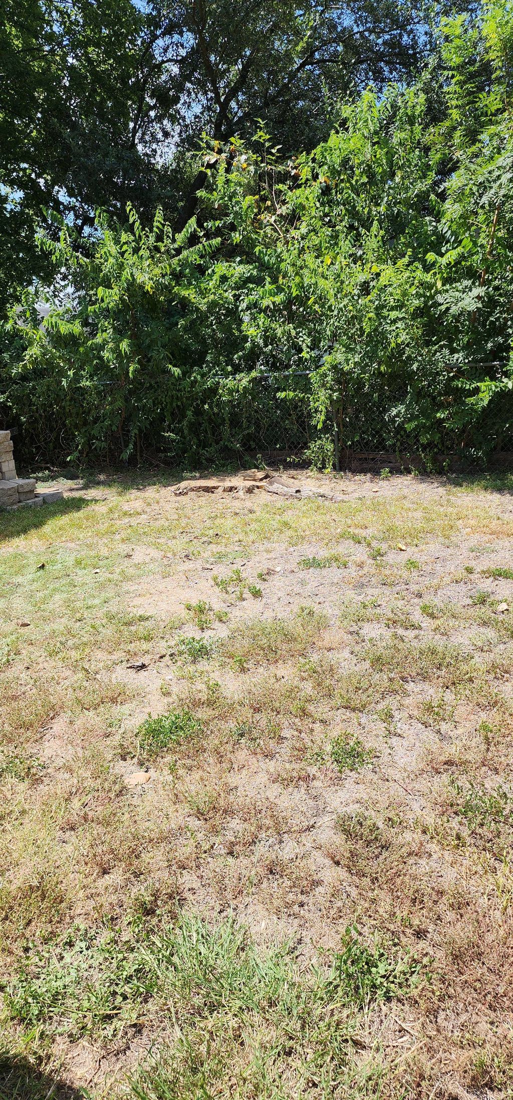 dead tree removed. stump grinding comming soon. an