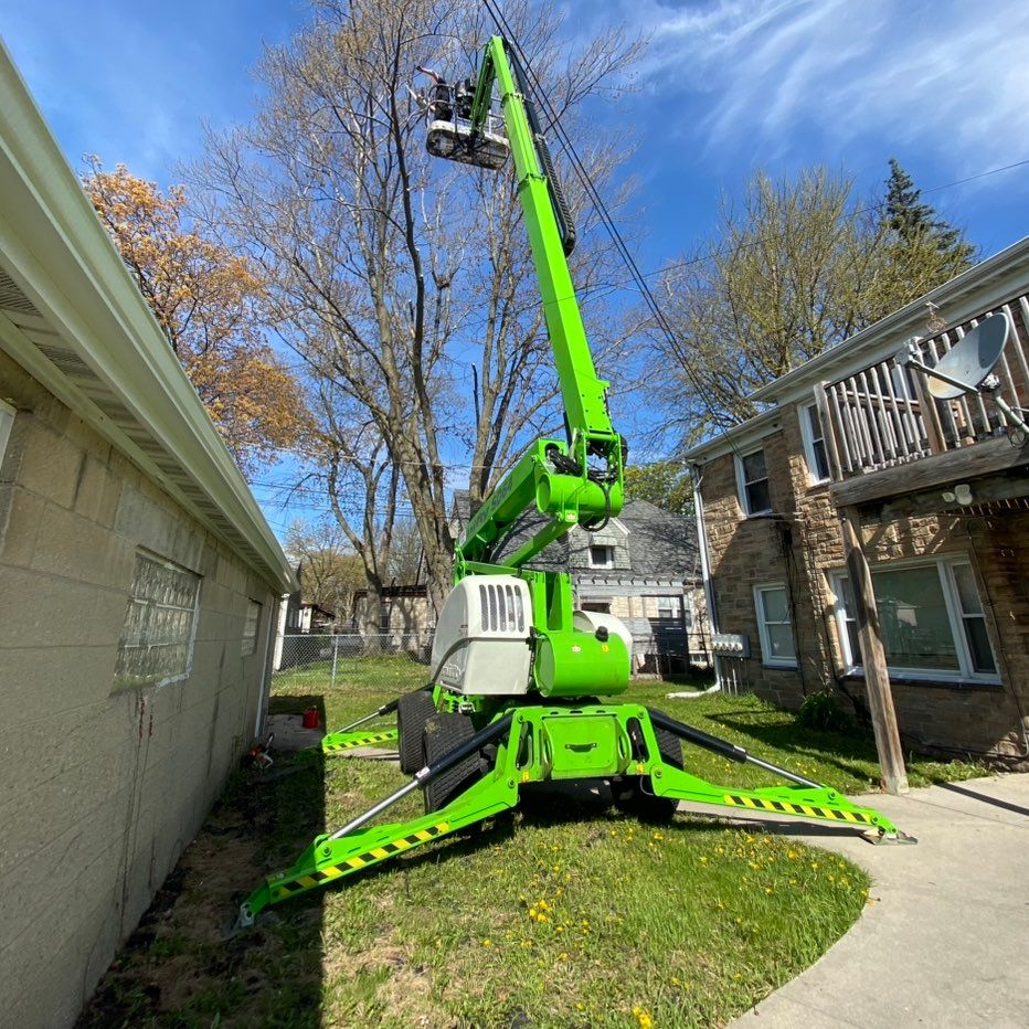 Just the Tree Guy