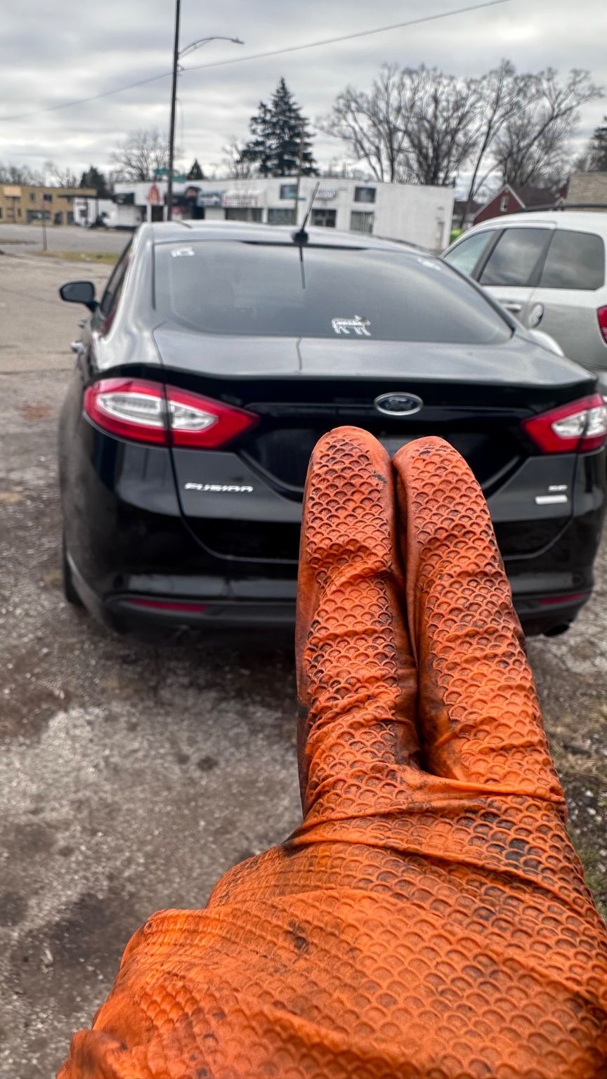 Customer photos