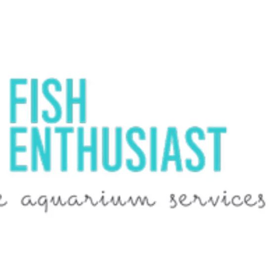 Fish Enthusiasts
