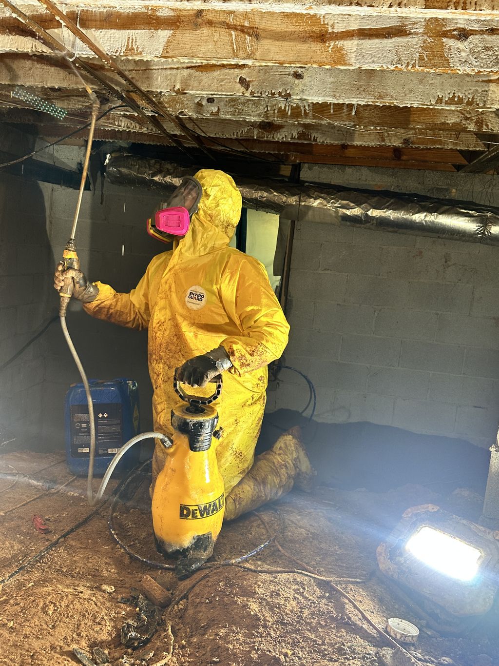 Crawlspace Remediation 2025