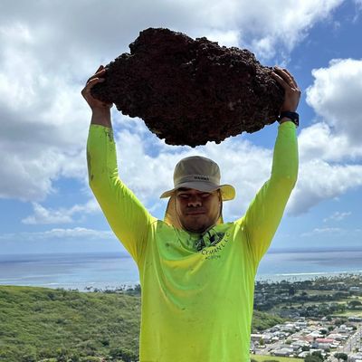 Avatar for Rock Kane Multi-Service Experts