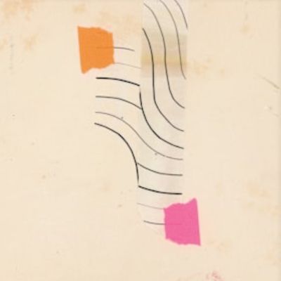 Avatar for Tamed Spaces