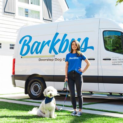 Avatar for Groombuggy Mobile Dog Grooming