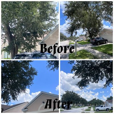 Avatar for Family Tree and Hauling Services
