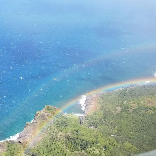 Paradise Property Solutions