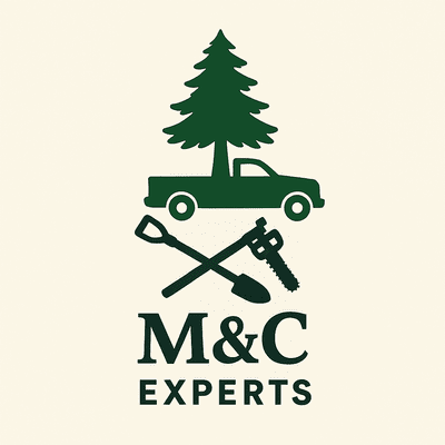Avatar for M&C  EXPERTS