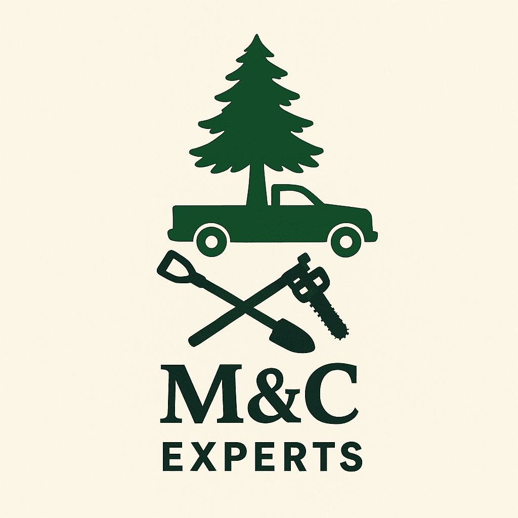 M&C  EXPERTS