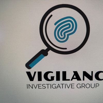 Avatar for Vigilance Investigative Group