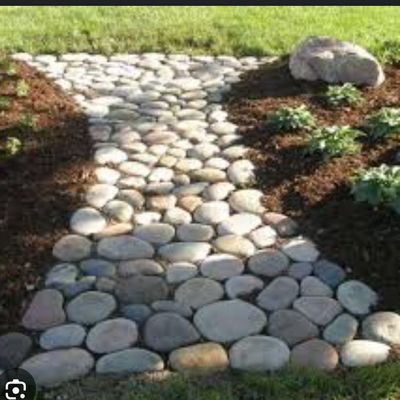 Avatar for a Cut above lawn care