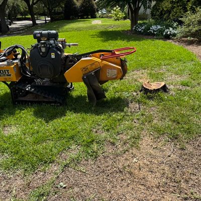 Avatar for Discount Stump Removal
