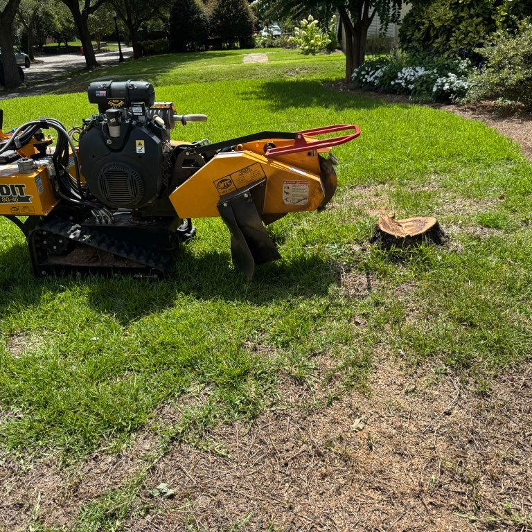 Discount Stump Removal