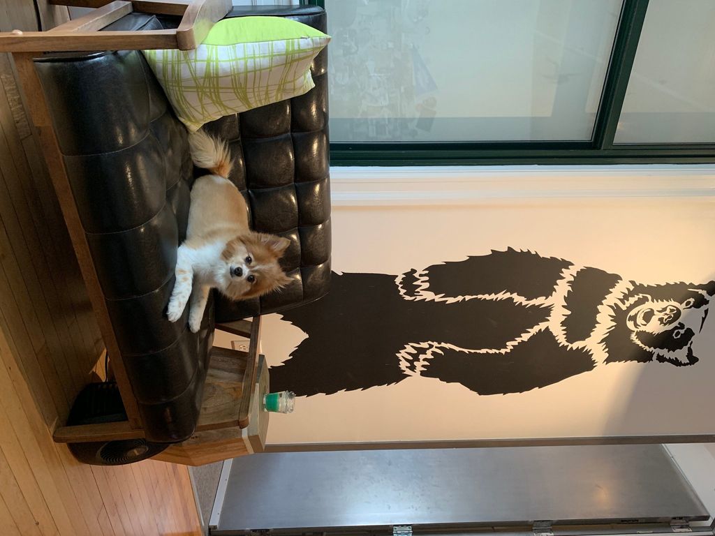 Customer photos