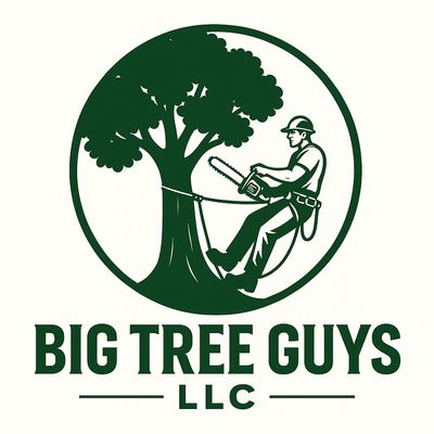 Avatar for Big Tree Guys LLc