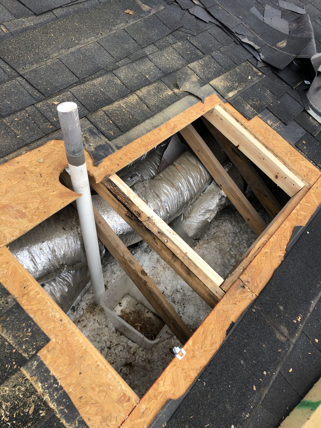 Projects and media