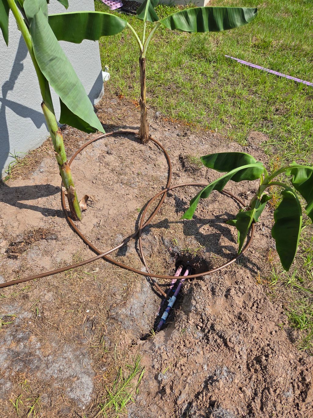 Drip irrigation install 