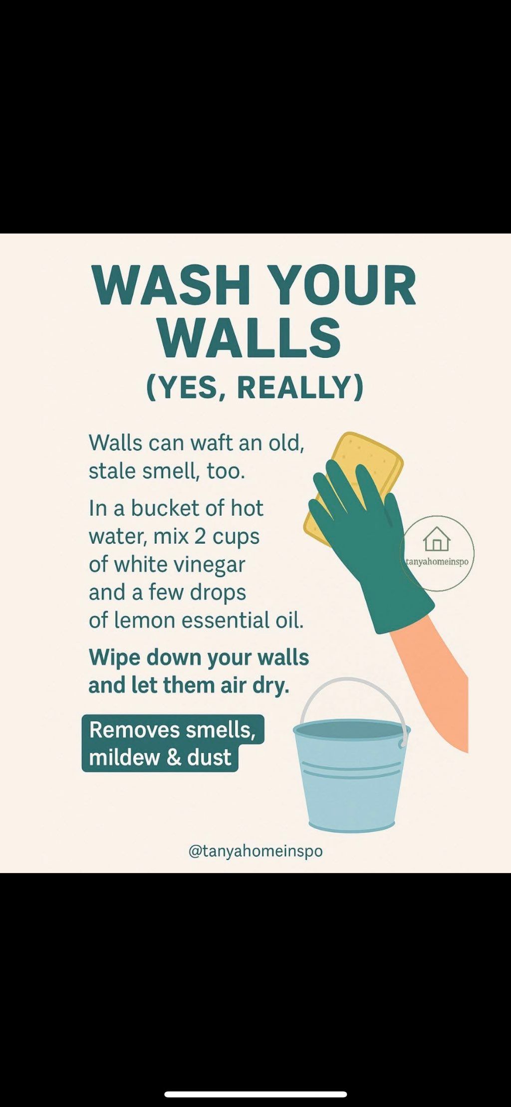 Let us do  your walls, add it to your deep clean, 