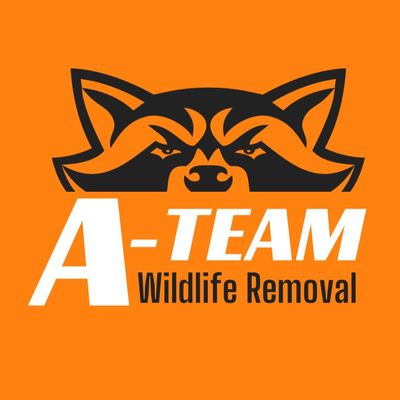 Avatar for A-Team Wildlife Removal