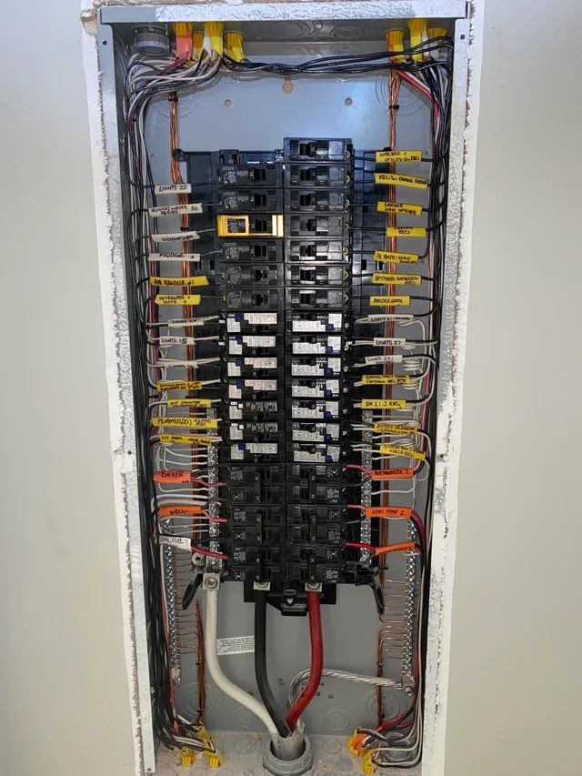 Projects and media