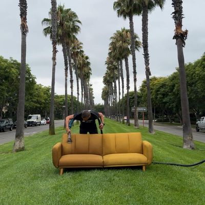 Avatar for WATERFALL Upholstery Cleaning