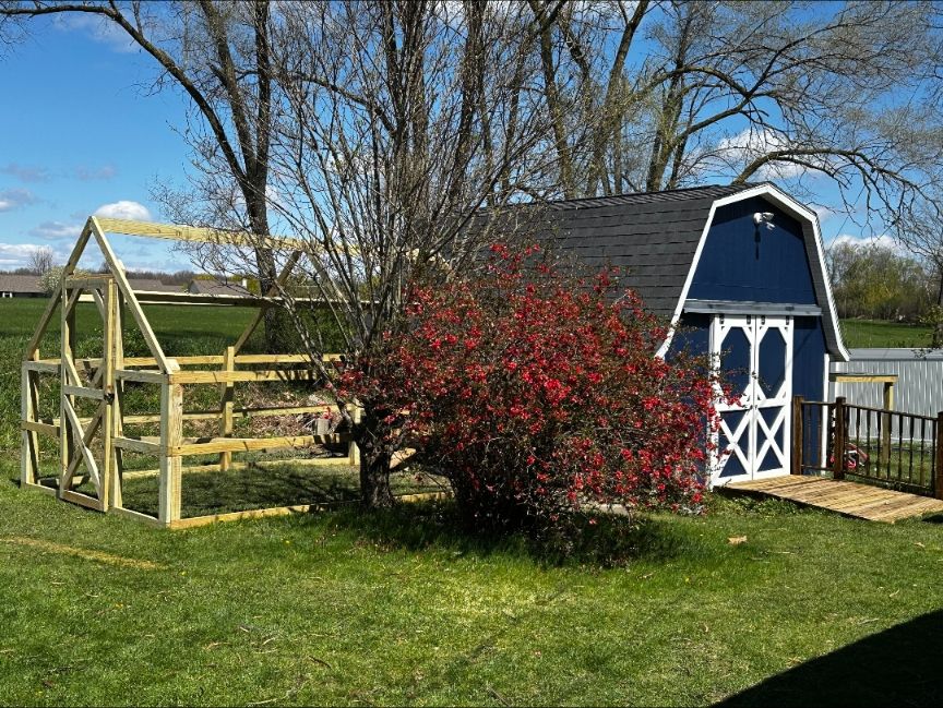 Chicken coop paint job and custom chicken run