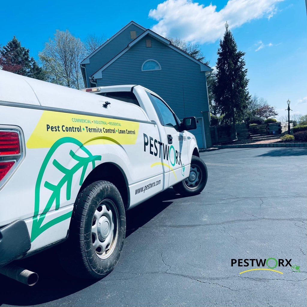Pestworx … “where solutions meet peace of mind” :)