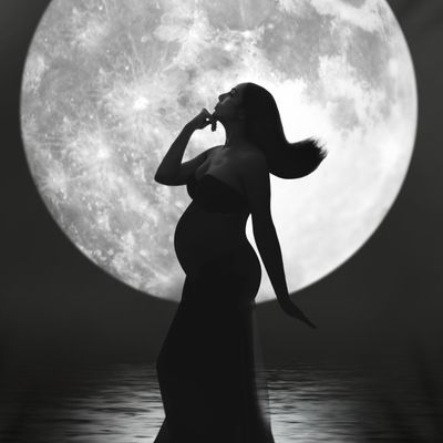 Avatar for Nataly Danilova Photography