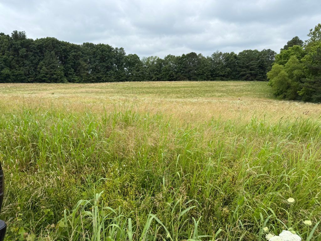 Customer needed his 7 acre property mowed down. Th