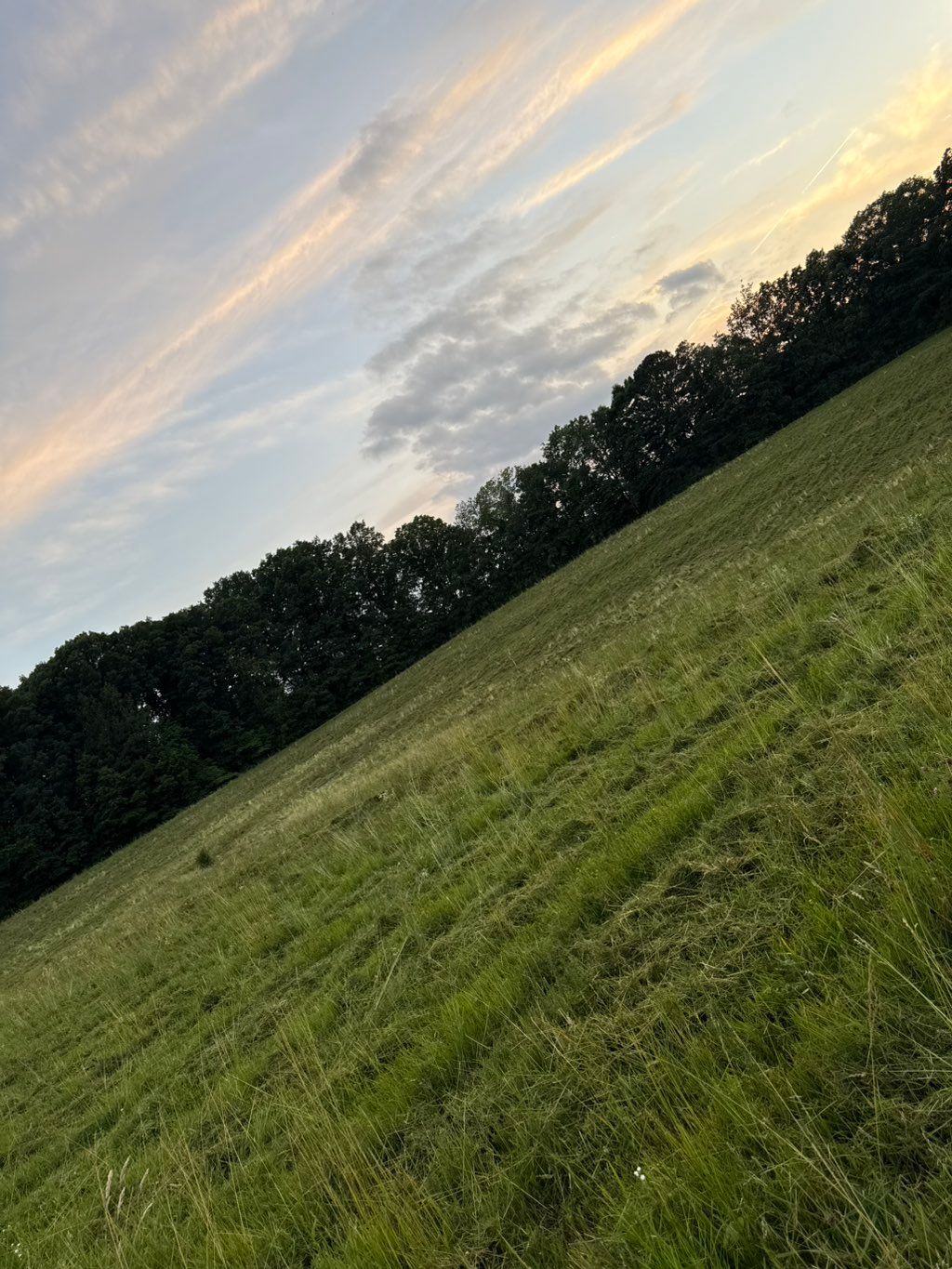 Customer needed his 7 acre property mowed down. Th