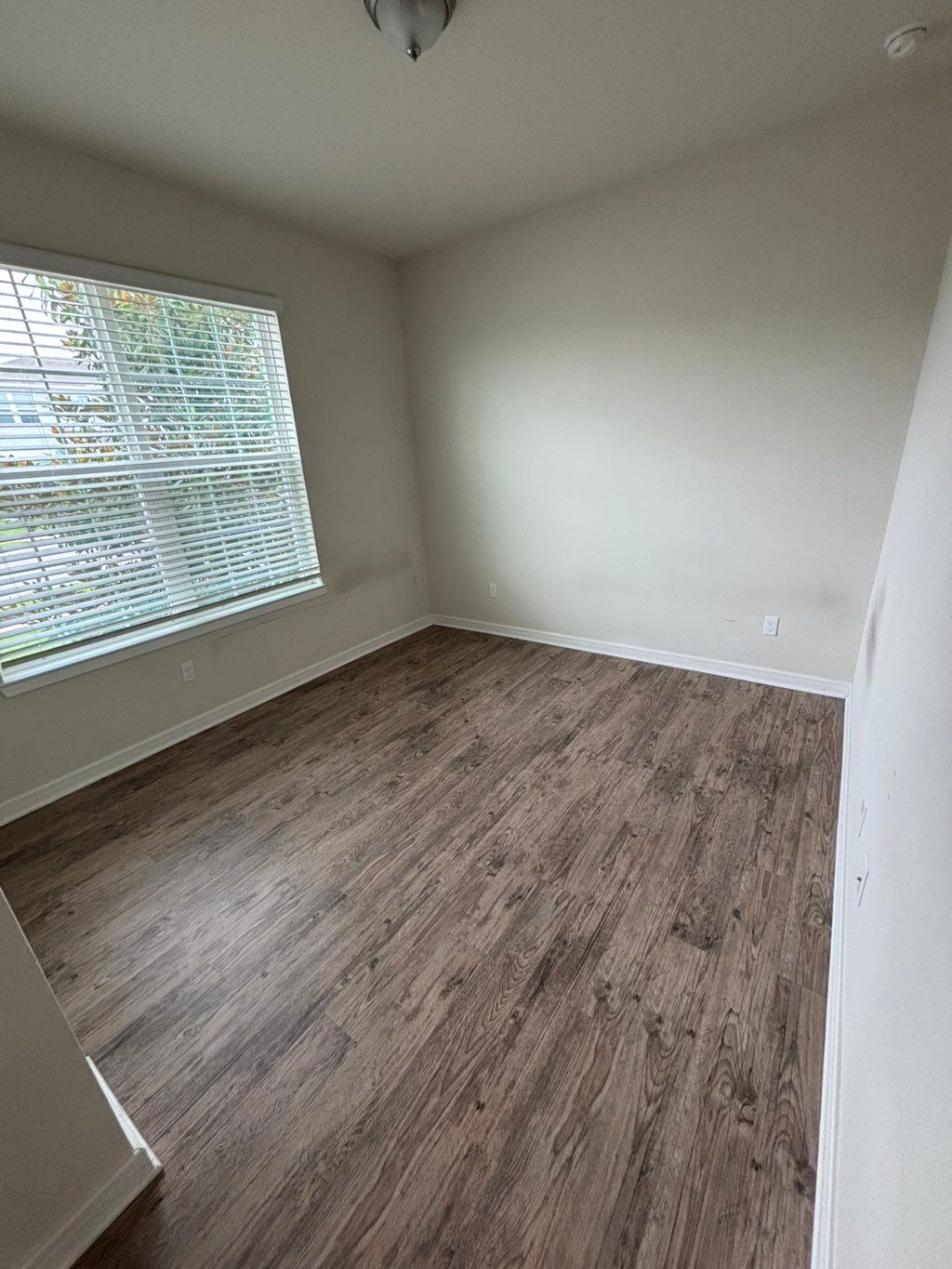 move-out cleaning
