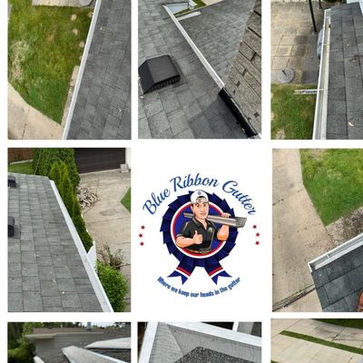Avatar for Blue Ribbon Gutters