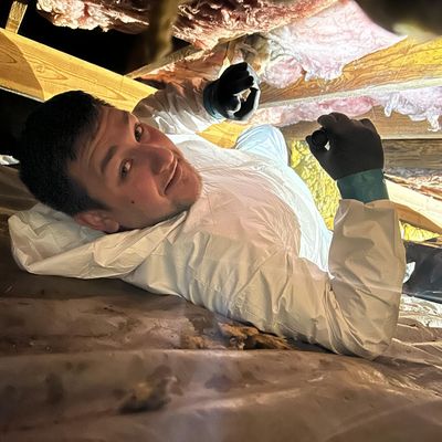 Avatar for Red Rabbit Handyman Service