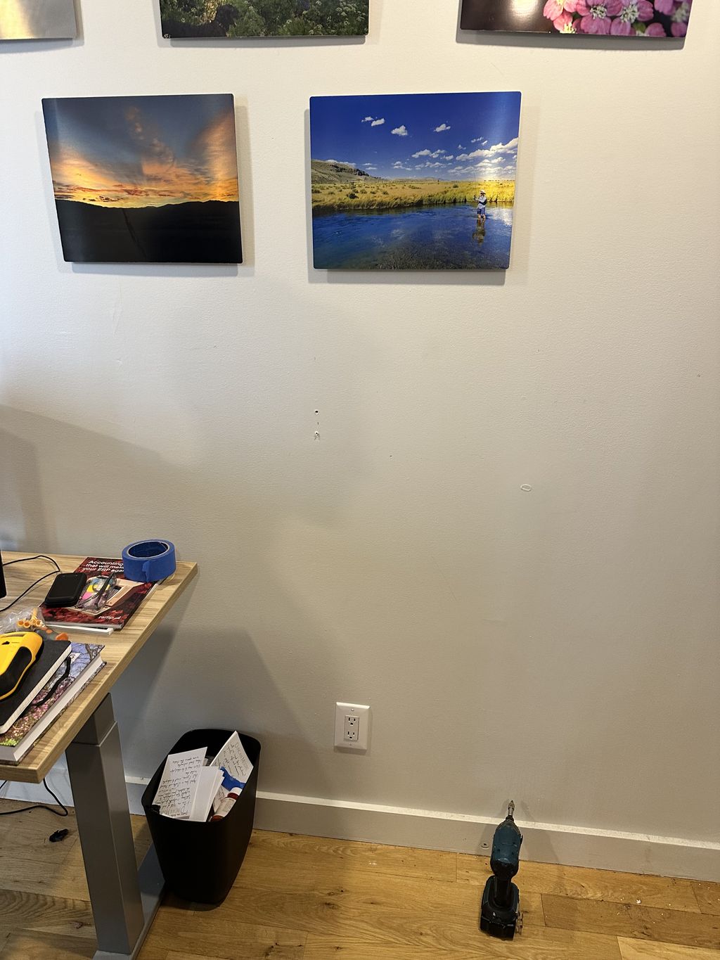 Projects and media
